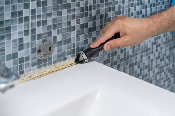 Best Kitchen Mold Remediation in Lakeland North, WA